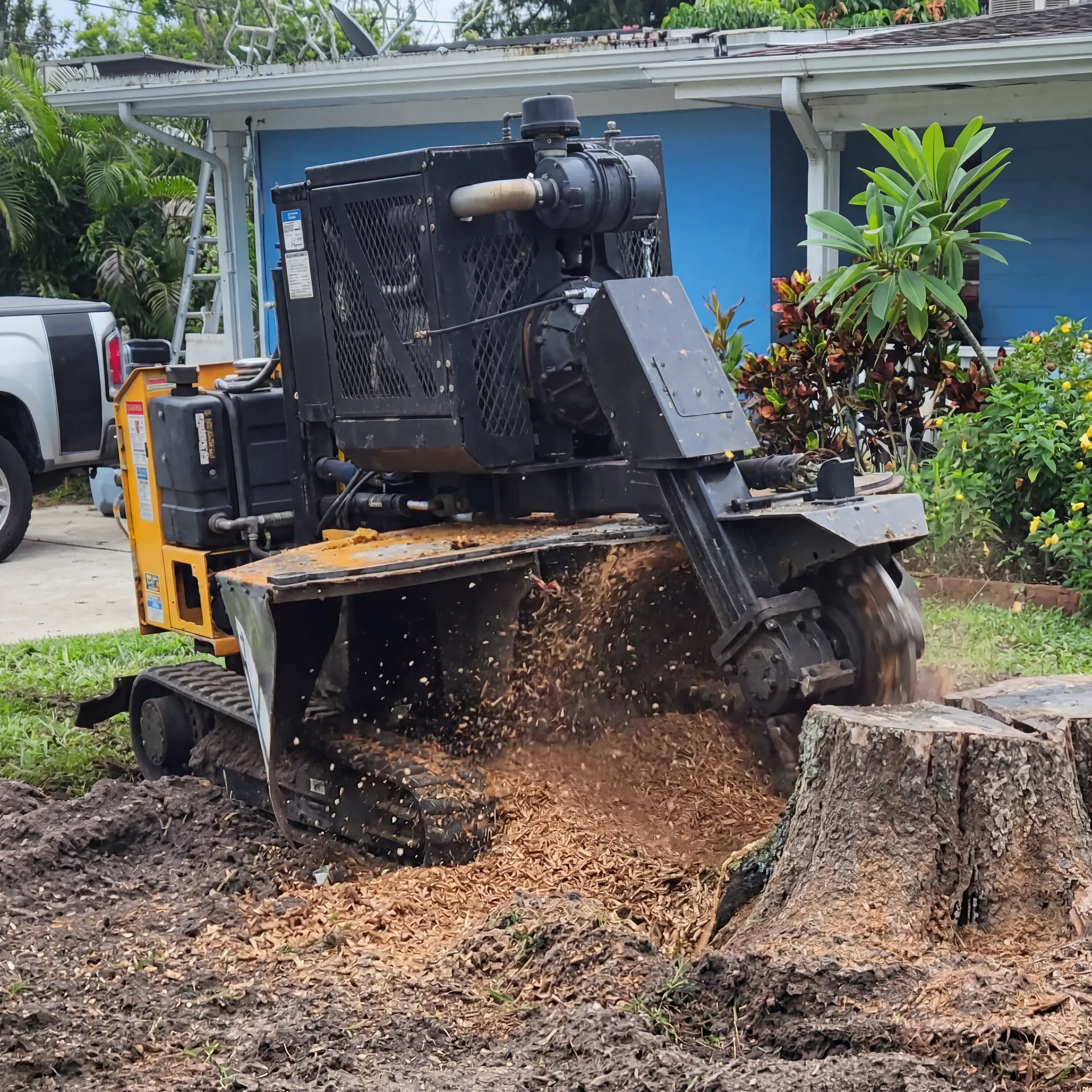 Expert Tampa Stump Grinding
