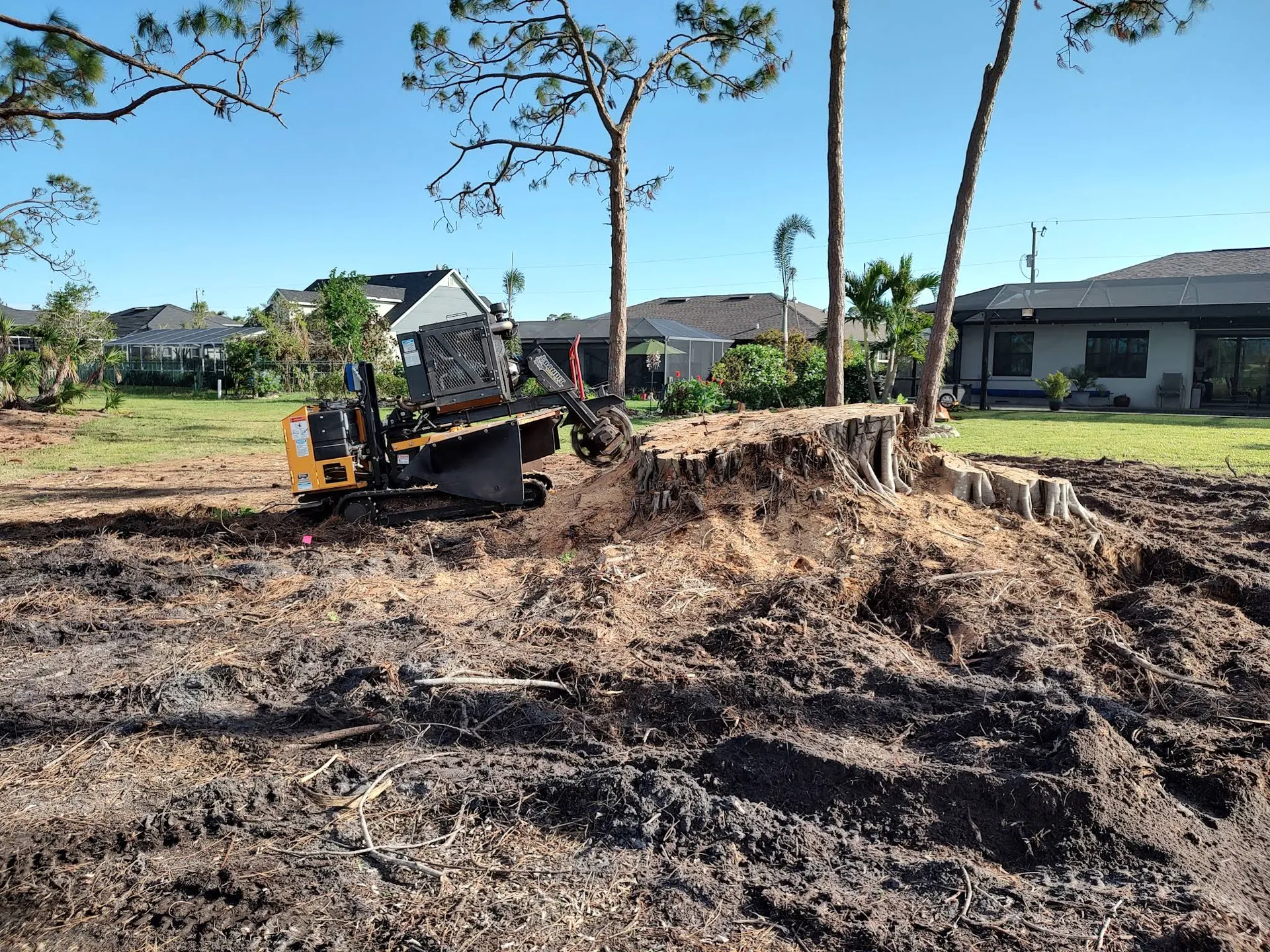 Stump Removal in Tampa, FL