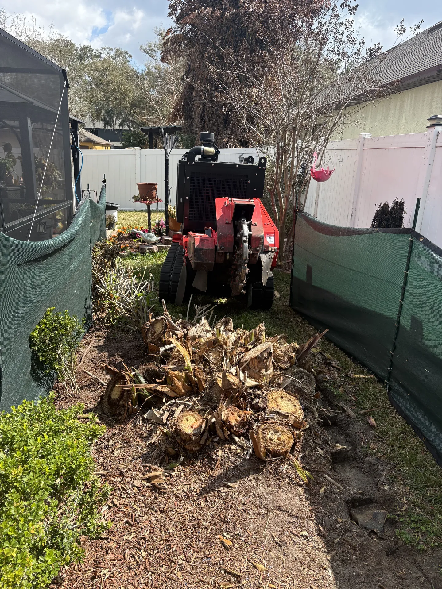Stump Removal Process in Pinellas County, FL